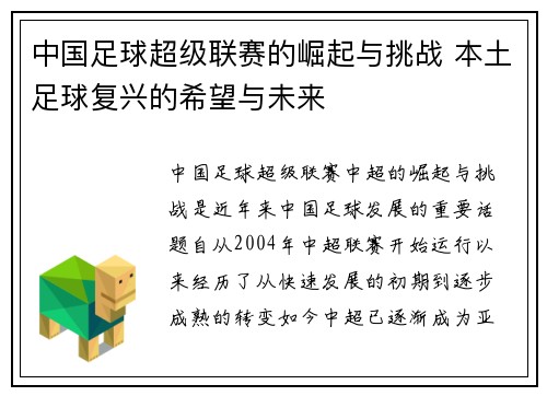 中国足球超级联赛的崛起与挑战 本土足球复兴的希望与未来